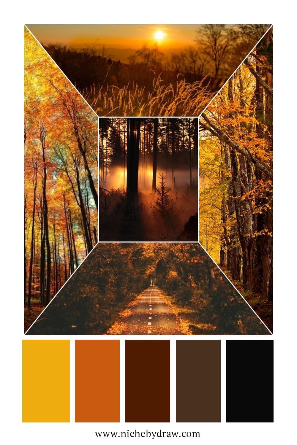 Golden autumn mood board and color palette | The Niche by The DRAW Agency