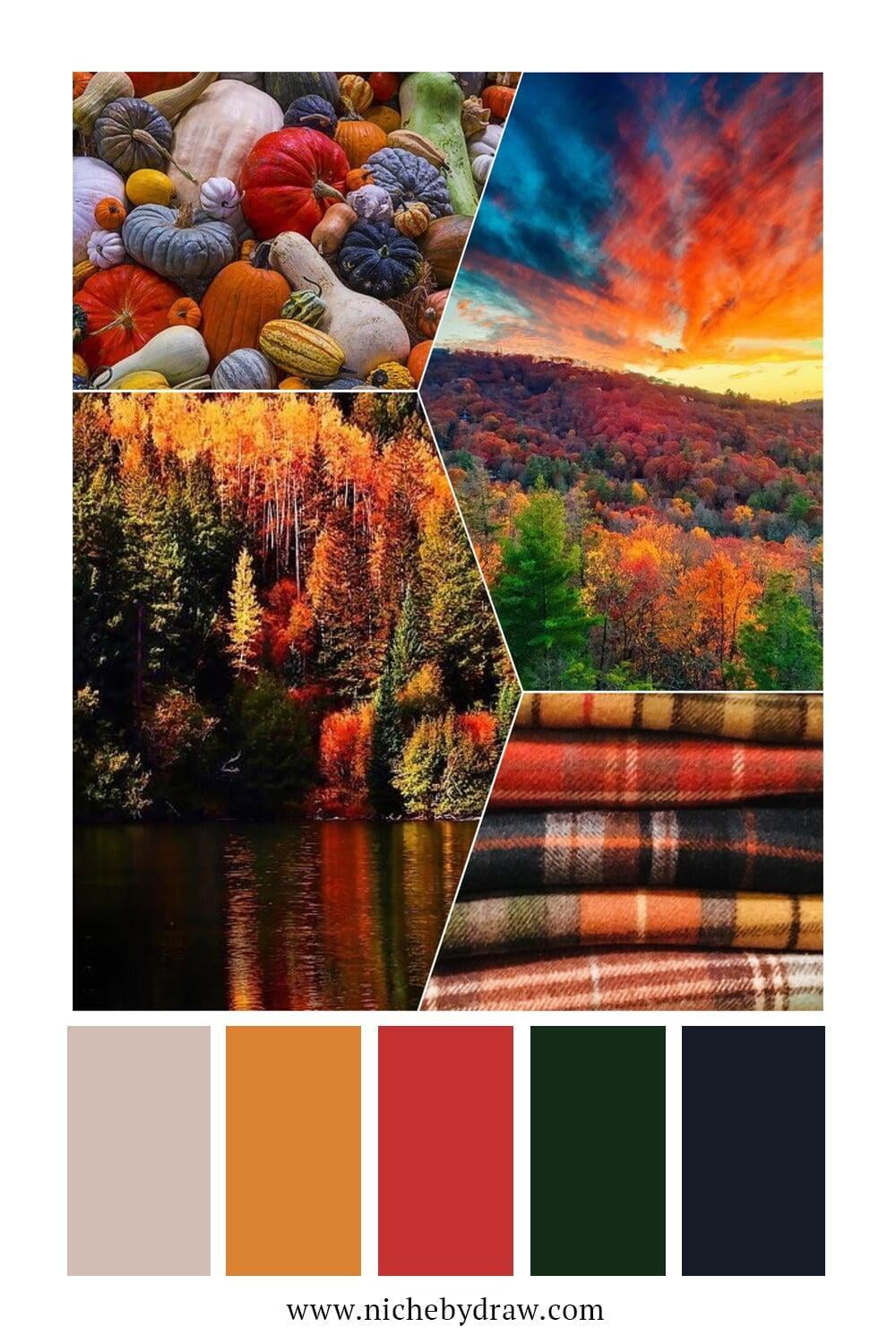 Autumn mood board and color palette | The Niche by The DRAW Agency