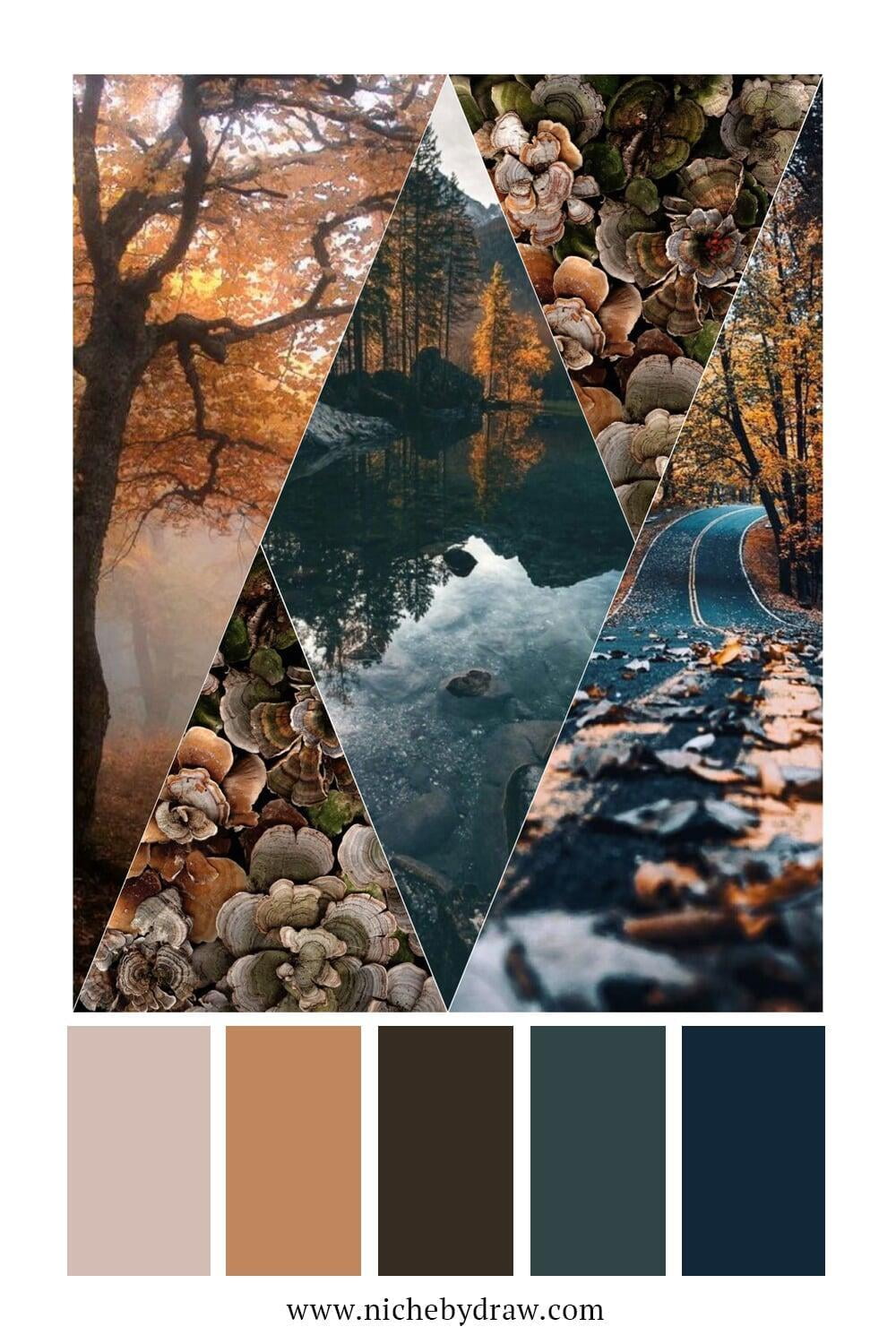 Muted Fall color palette | The Niche by The DRAW Agency