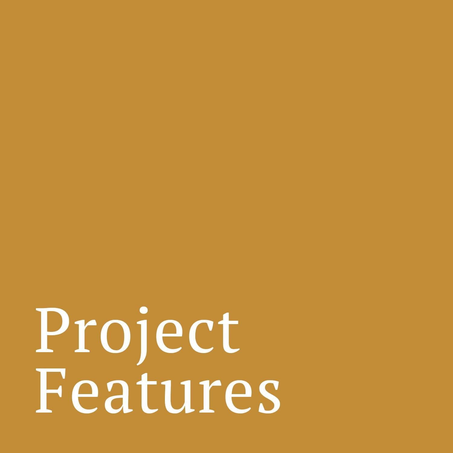 Project Features Blog Post Category | The Niche by The DRAW Agency